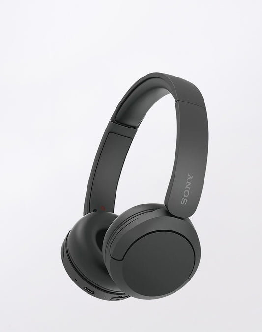 Bluetooth WH-CH520