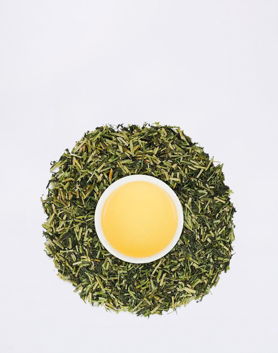 Kumano No.313 Caddy BIO 80g