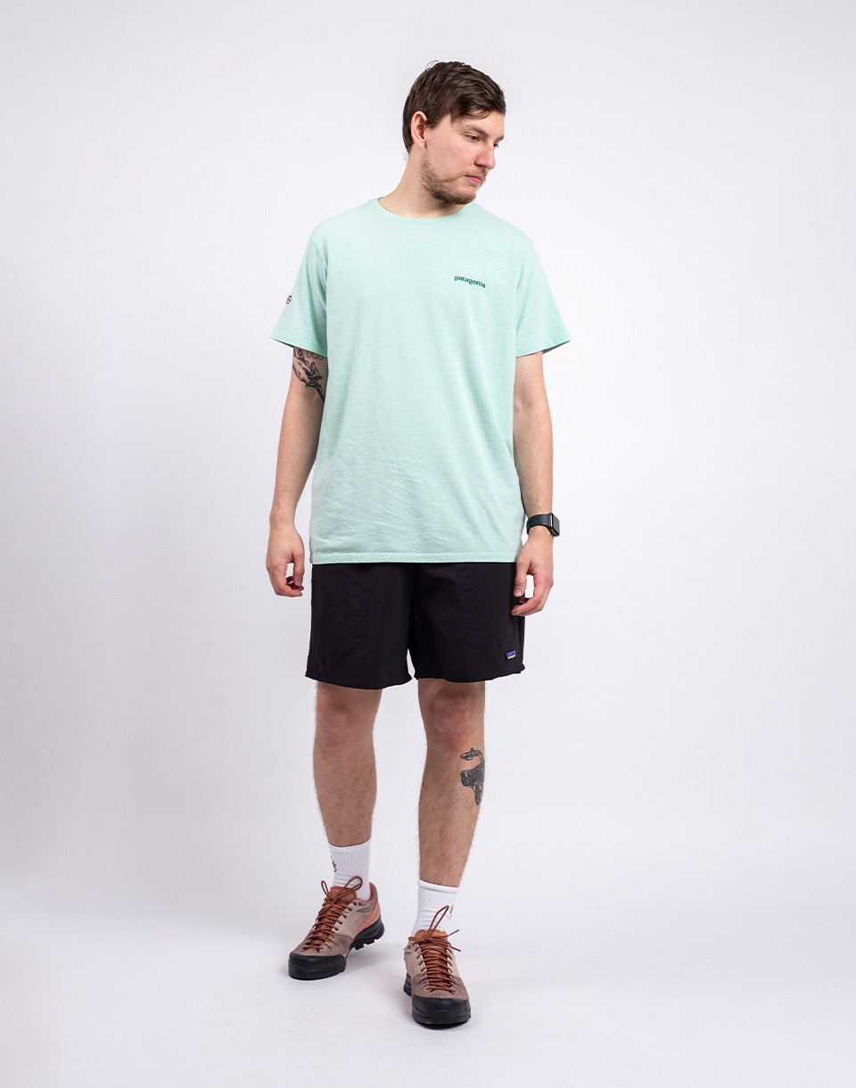 M's Baggies Shorts - 5 in.