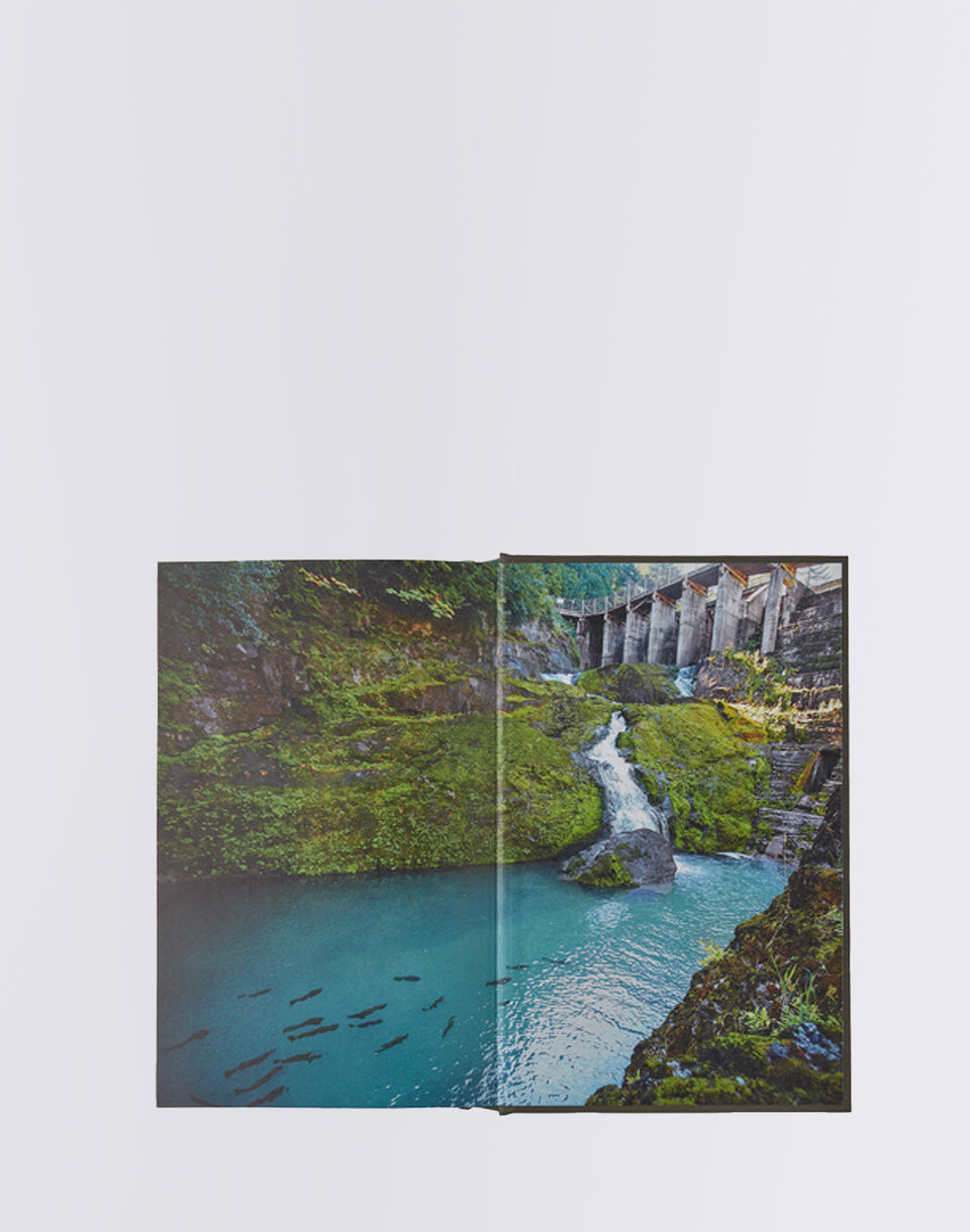 Fissuré (couverture rigide)