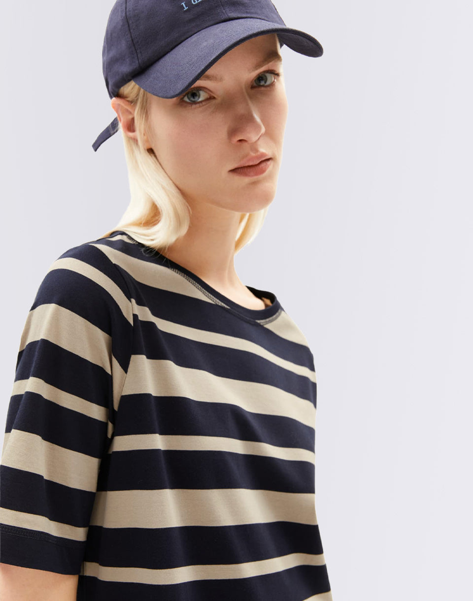 Rayures de blocs de taakyra