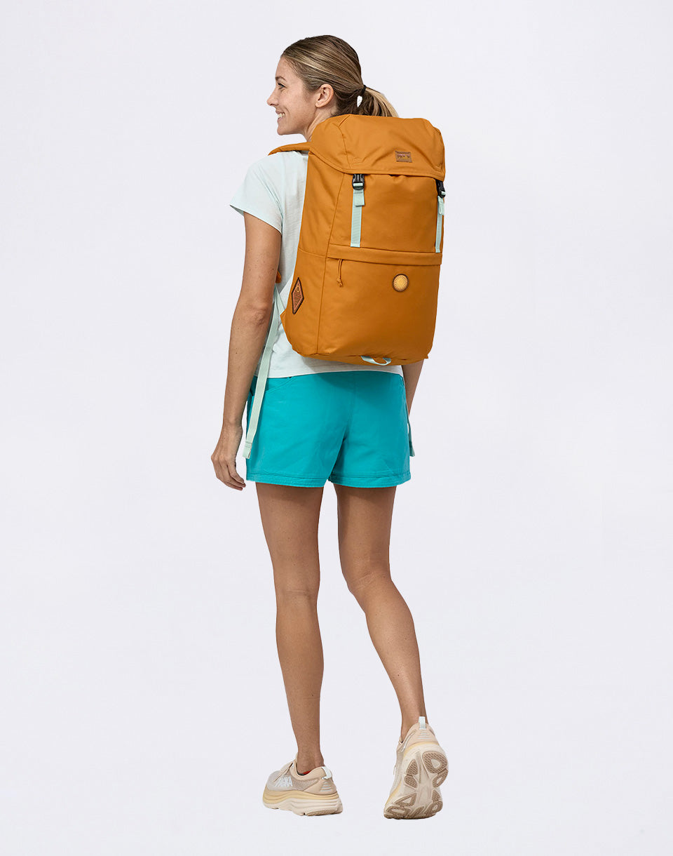 Pack de couvercle de champs