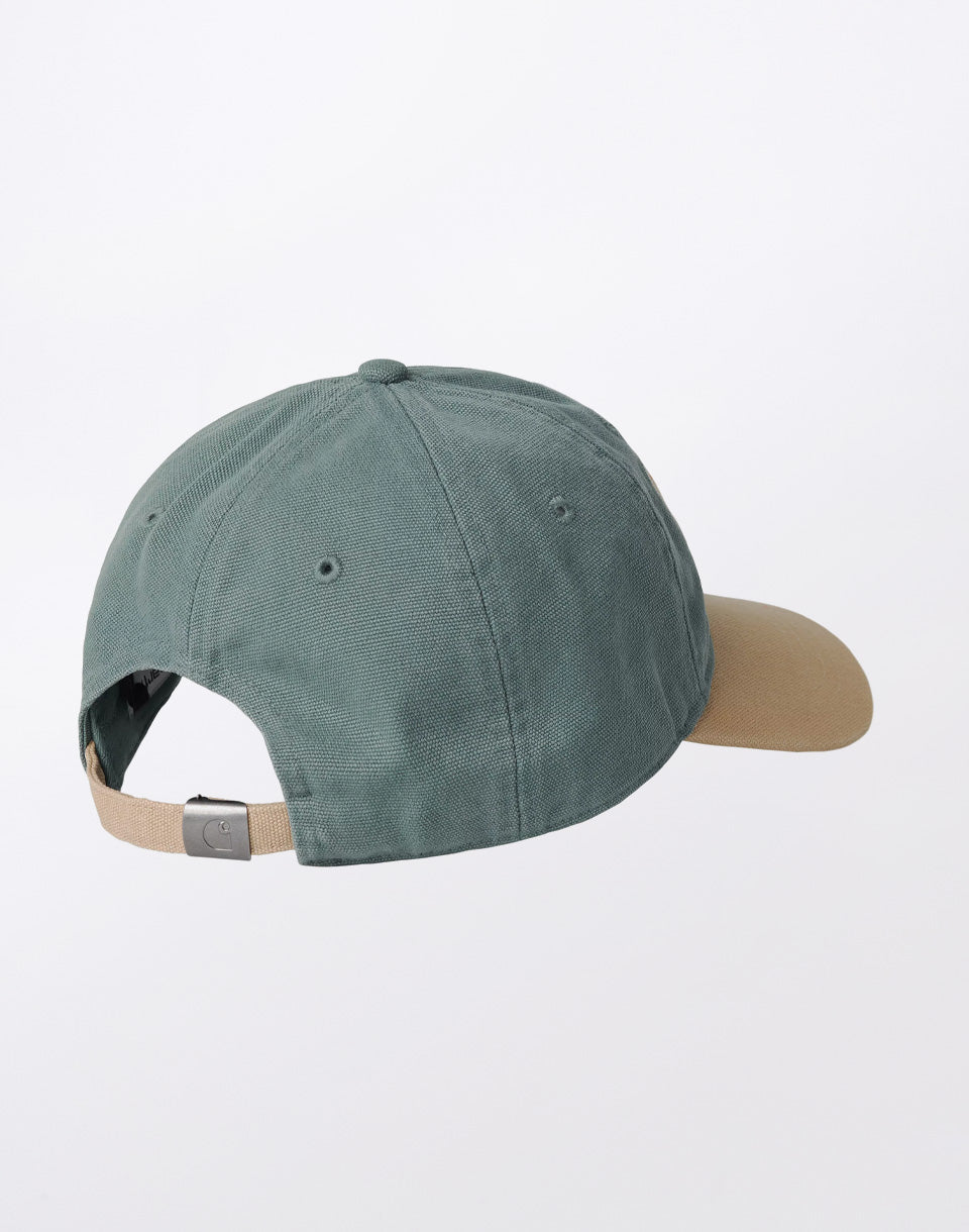 Lecture Cap