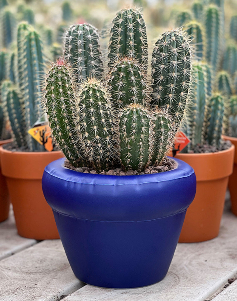 Planter PIERRE