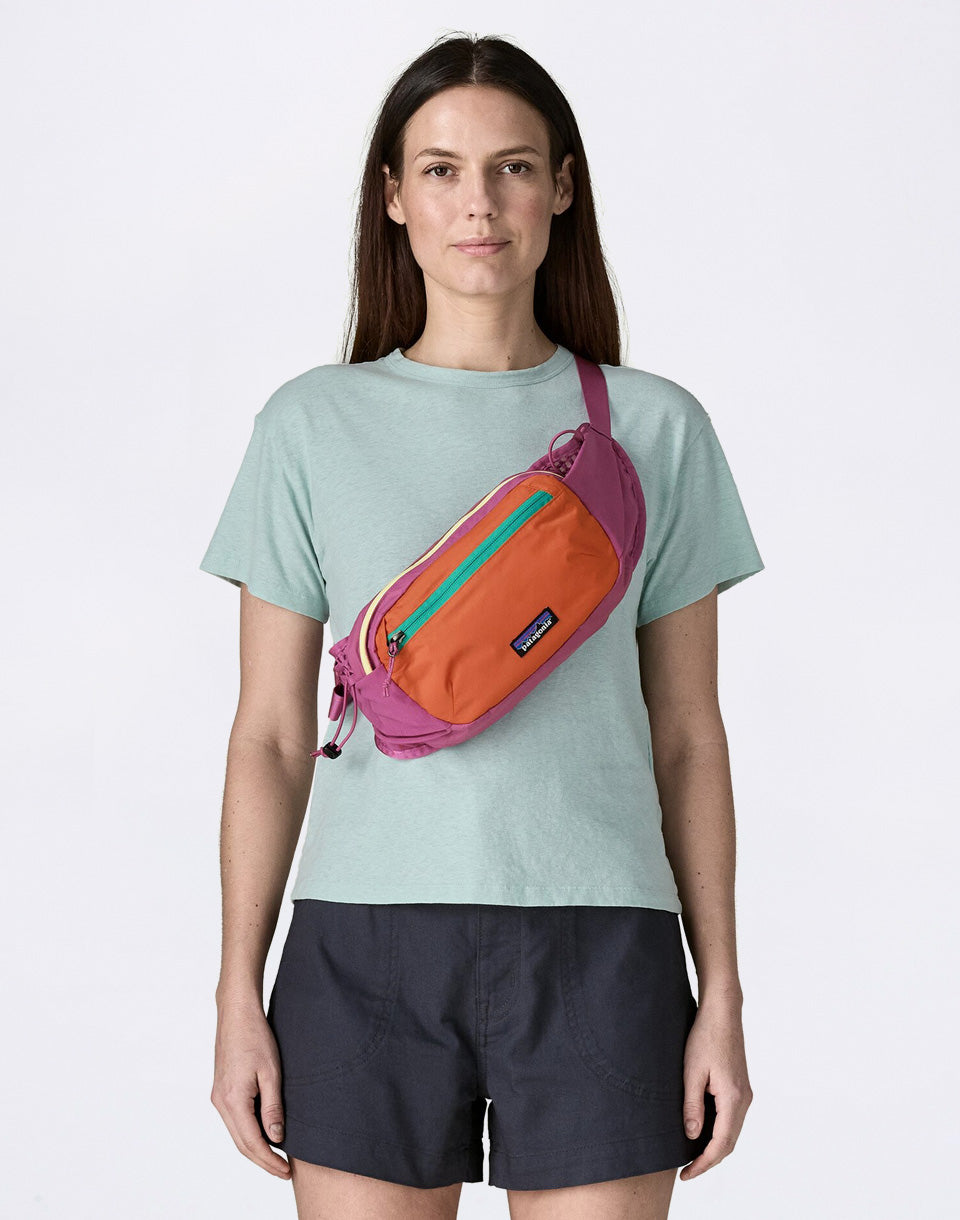 Terravia Hip Pack
