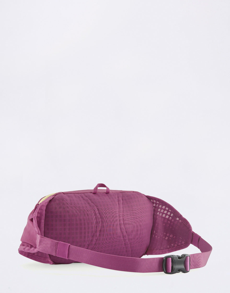 Terravia Hip Pack
