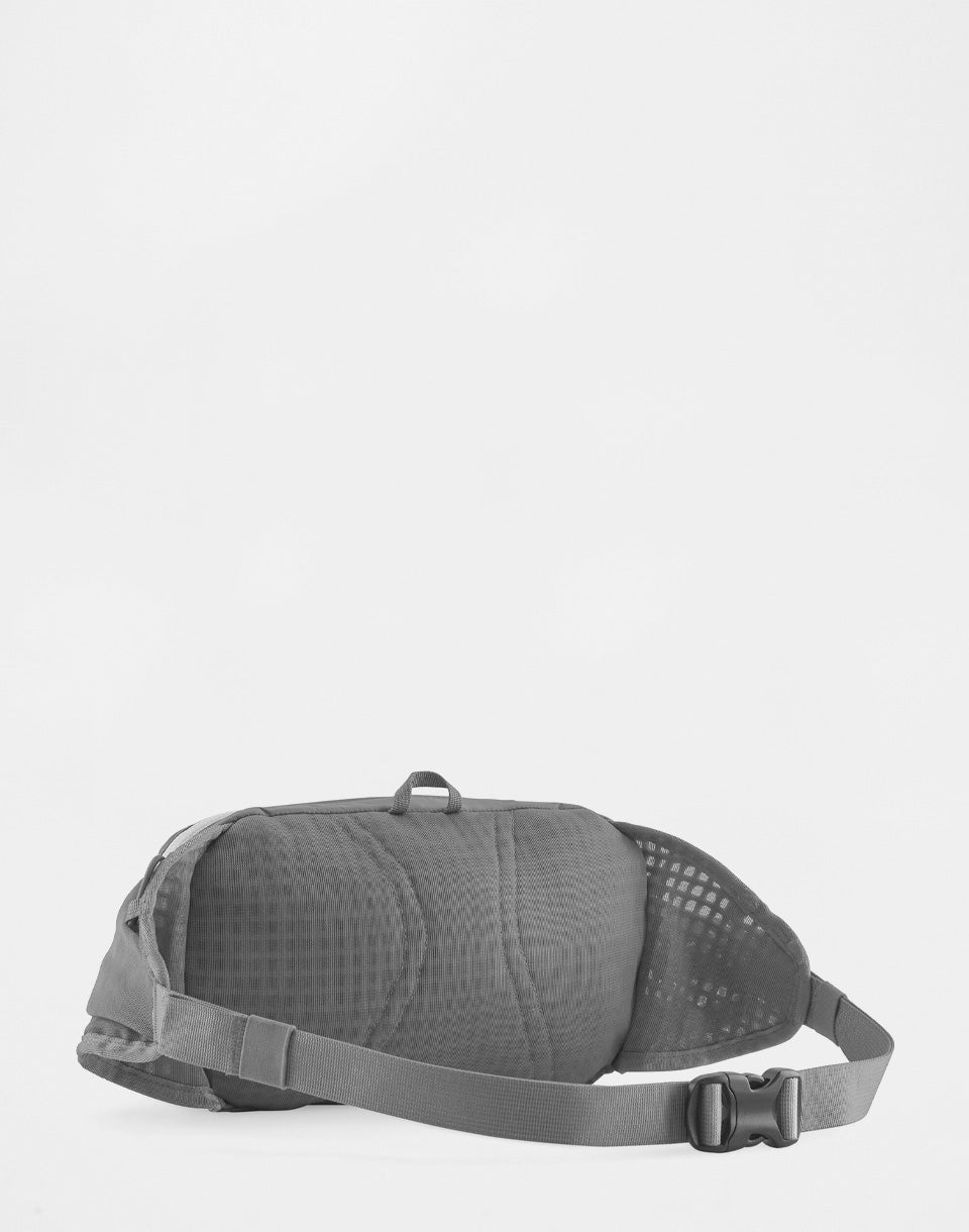 Terravia Hip Pack