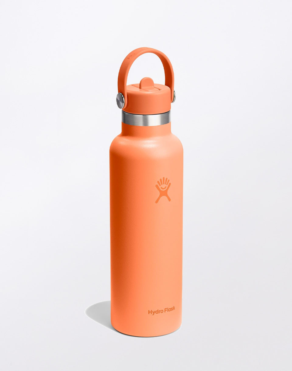 Bouchon à paille flexible standard 21 oz (621 ml)