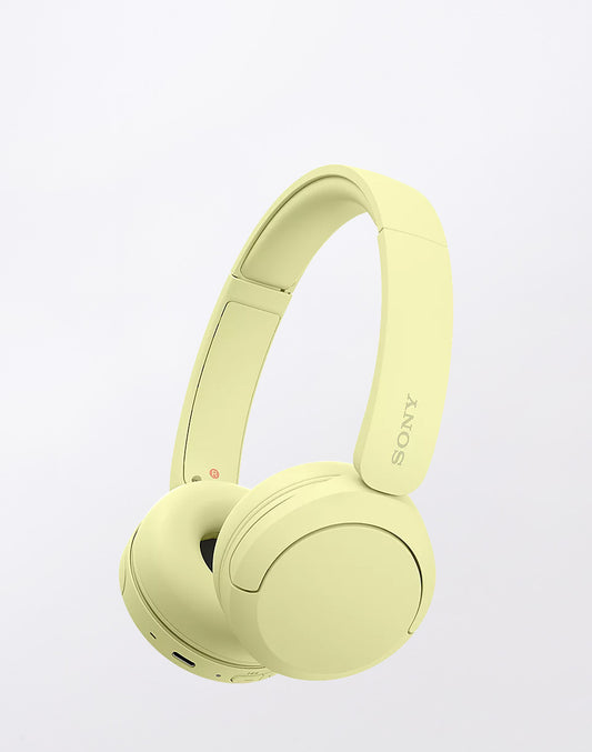 Bluetooth WH-CH520