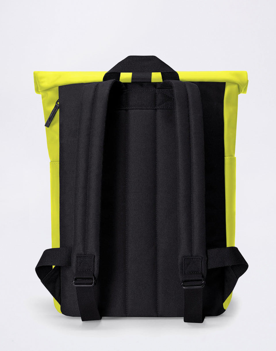 Hajo mini
