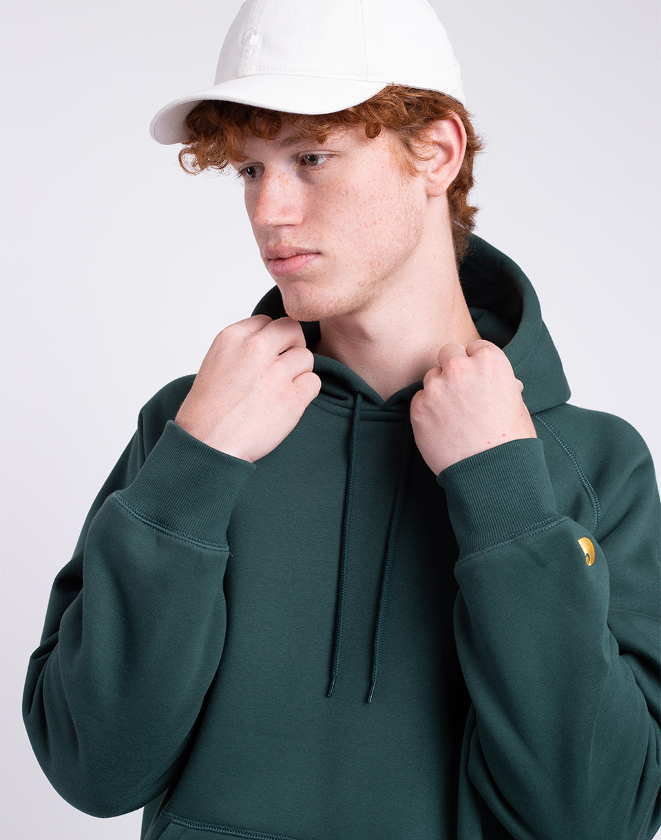 Sueur de poursuite à capuche