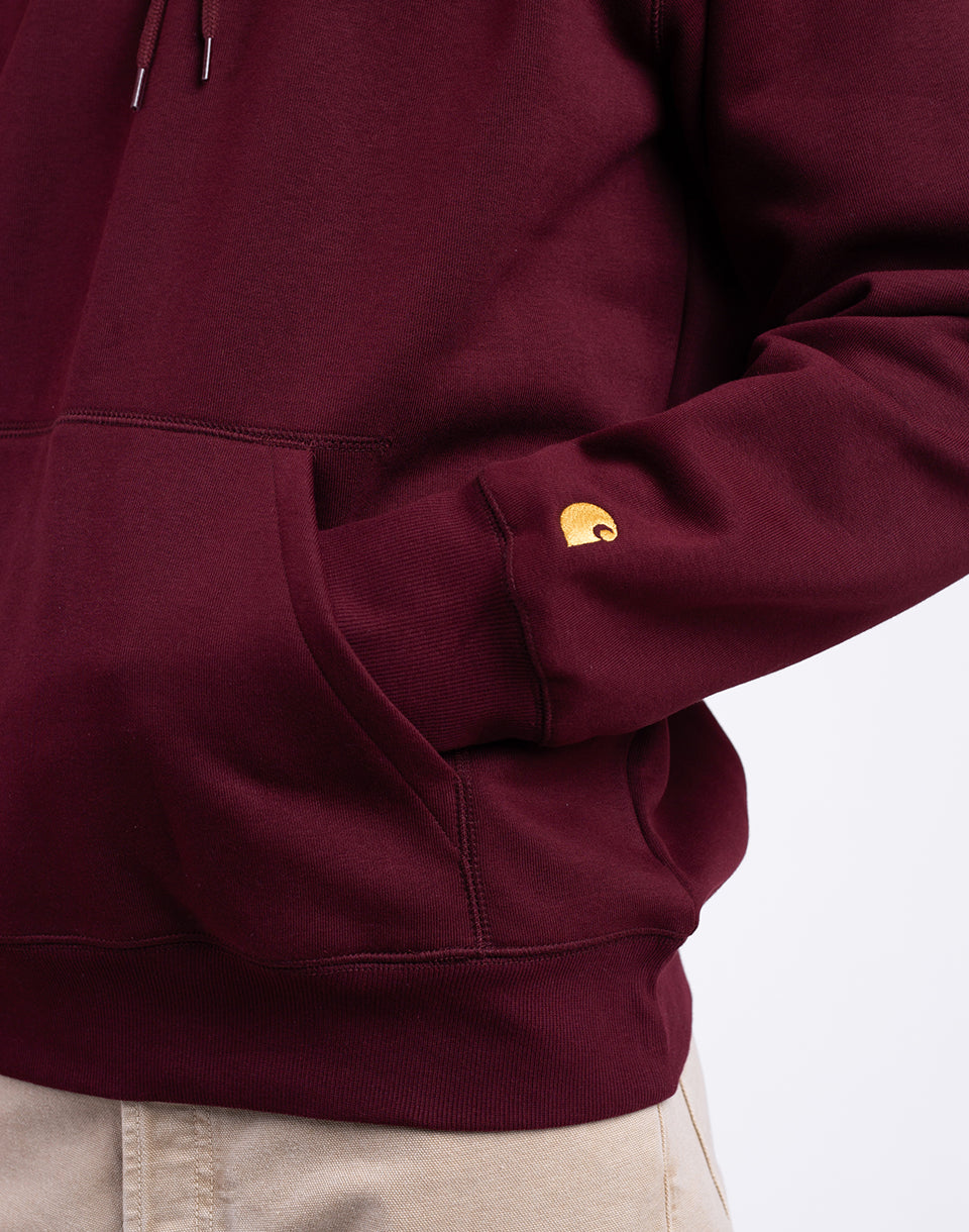 Sueur de poursuite à capuche