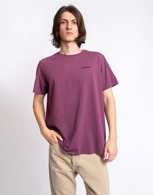 Icône de Fitz Roy Responsibili-tee