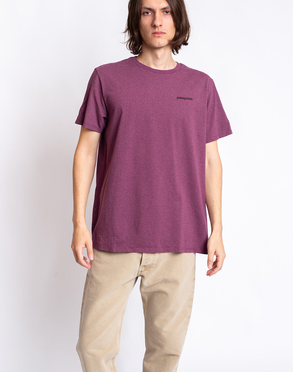 Icône de Fitz Roy Responsibili-tee